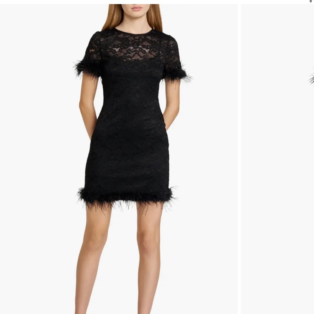 Wayf Alina Feather Lace Minidress